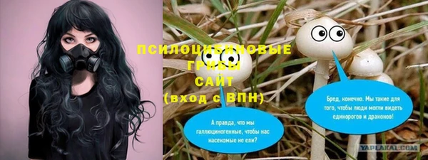 PSILOCYBIN Балахна