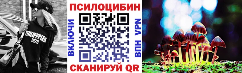 Галлюциногенные грибы Psilocybe  Белебей 
